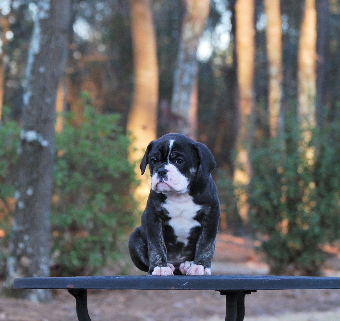 Marley